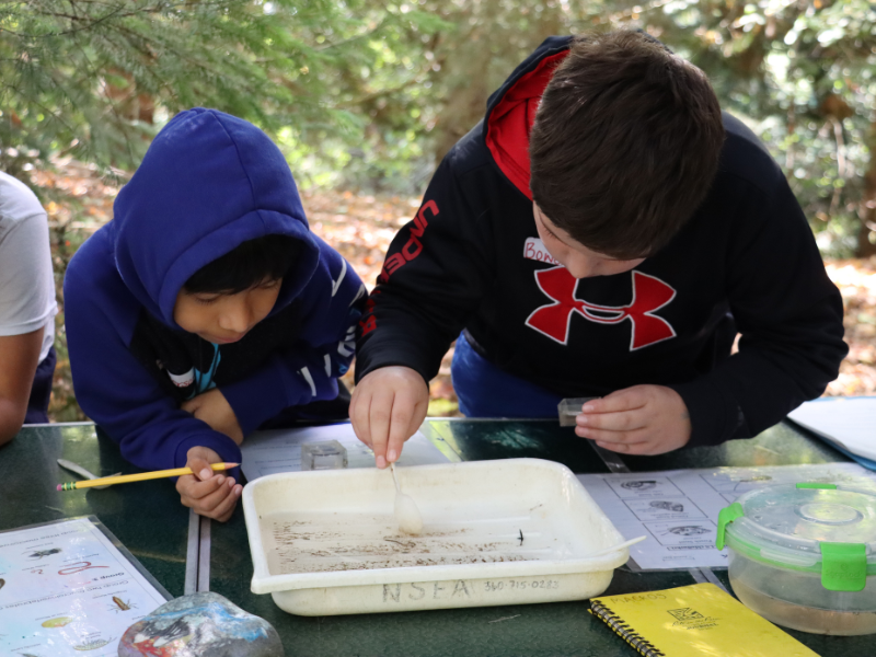 Fourth graders look at a creek sample.