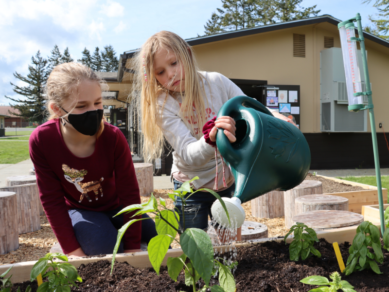 Two girls water plants in the school garden